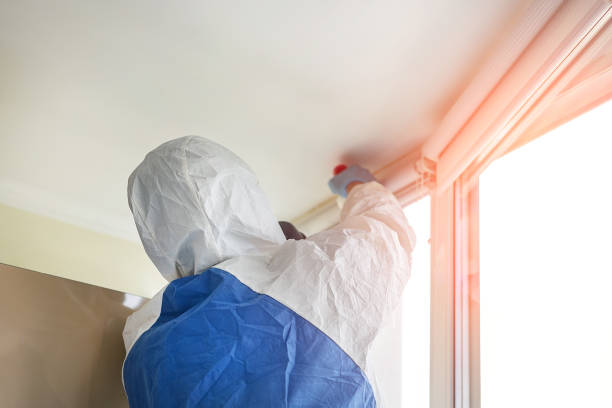 Best Attic Mold Removal in Soledad, CA