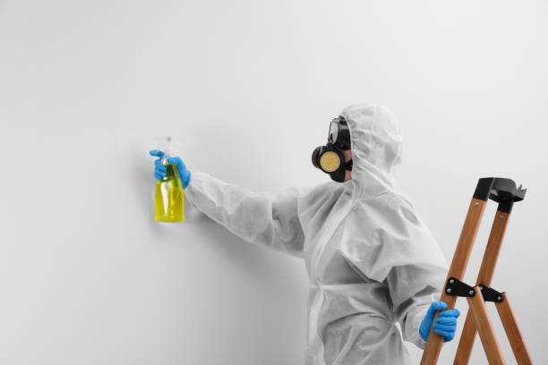 Best Forensic Mold Investigation in Soledad, CA